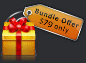 Bulk SMS Professional Bundle