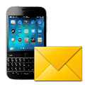 Bulk Sms Software-BlackBerry Mobile